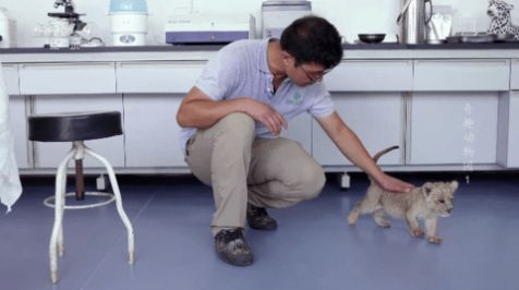 黑白电视高清4k软件安卓版图2