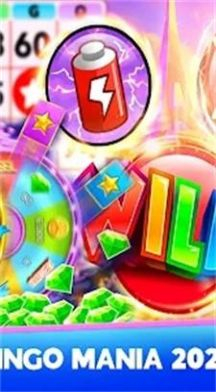 疯狂宾果游戏官方版图1