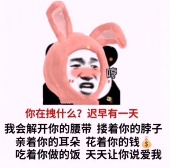 老公老公新年快乐微信还是支付宝表情包图3