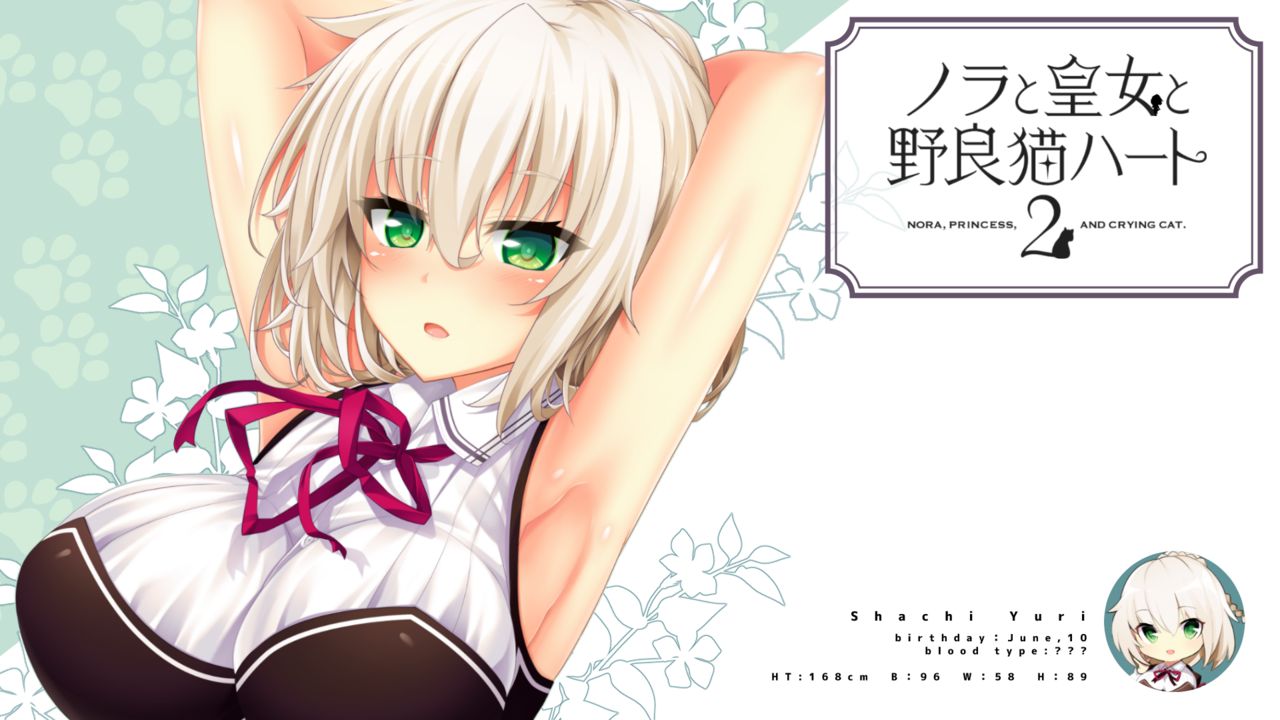 野良与皇女与流浪猫之心2中文汉化版  v1.0图2