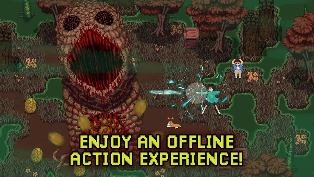 深入萨莫莫镇图1