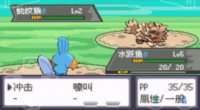 口袋妖怪绿宝石游戏最新随机版  v1.1图4