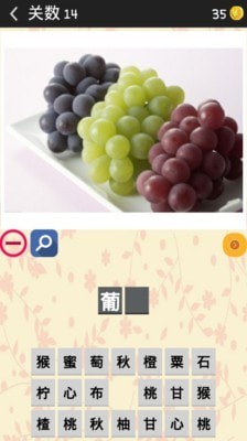 猜水果大挑战图2