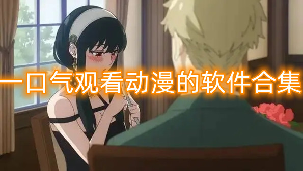 一口气观看动漫的软件合集