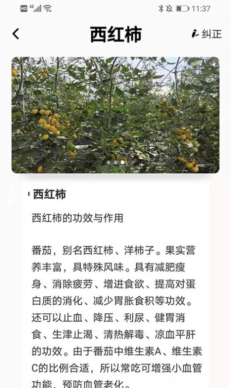植物科普百科app图4