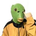 绿头鱼头套头像表情包图1