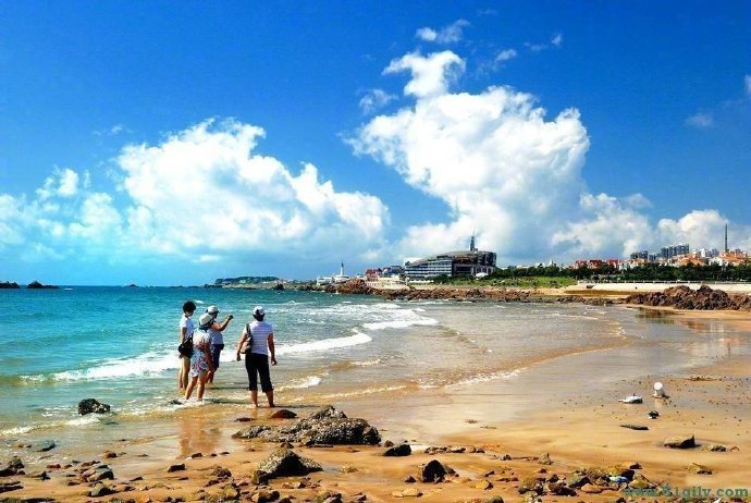 迈奇旅游小工具app合集