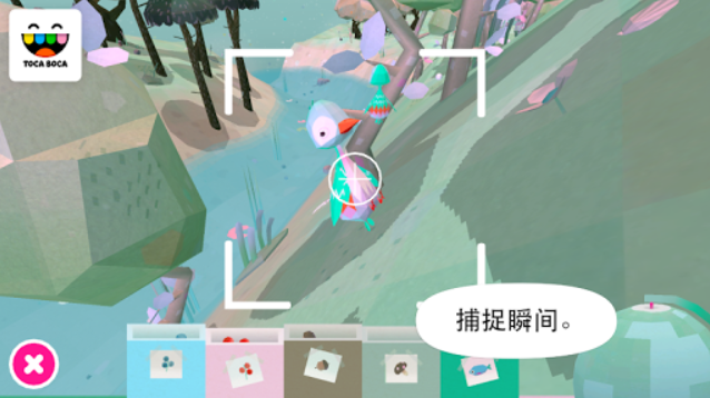 托卡大自然图4