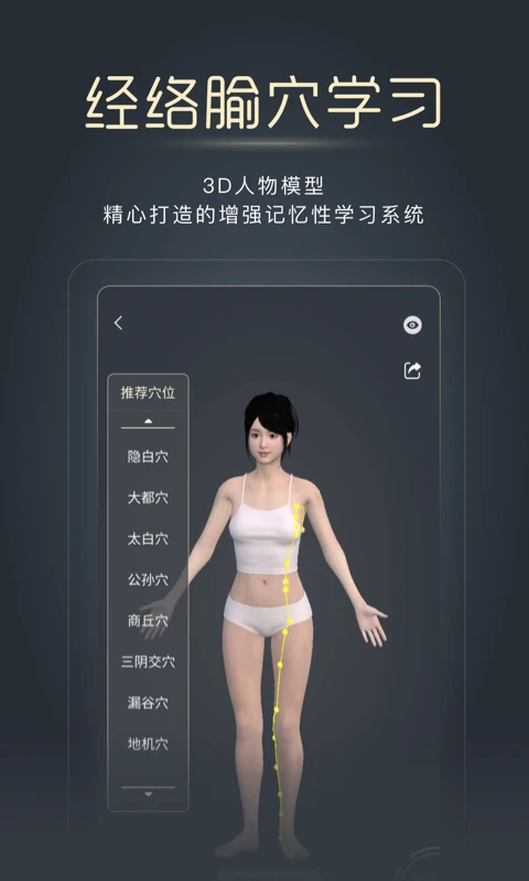 经脉宝图2