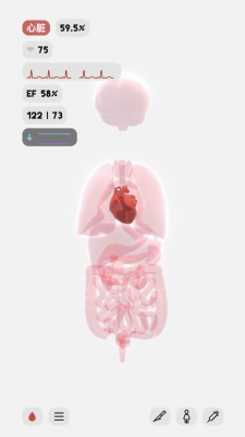 life生命模拟器游戏汉化版  v1.5.1图3