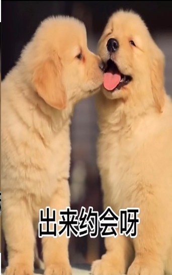 出来约会呀我馋你了表情包图1