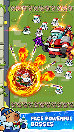 卡皮巴拉幸存者图1