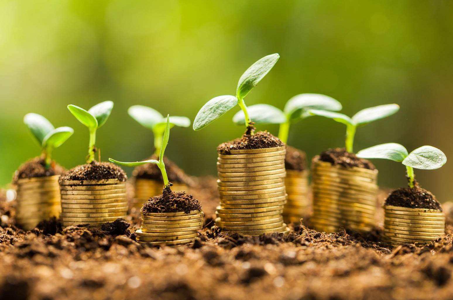 最新的软件合集