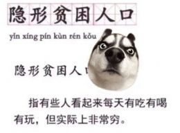 隐形贫困人口表情包图2