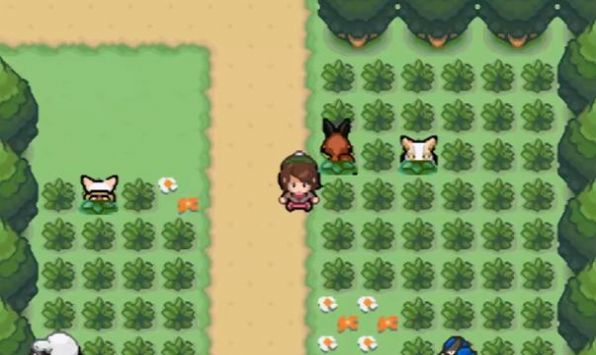 GBA宝可梦剑盾金手指3.0汉化版  v3.0图2