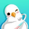 呼啦鸽APP最新免费版  v1.3.03