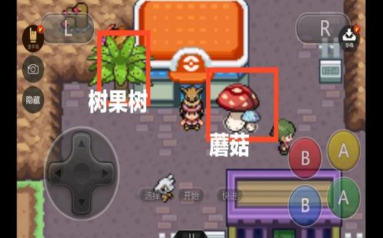 宝可梦去吧洛奇亚图鉴全收集图2