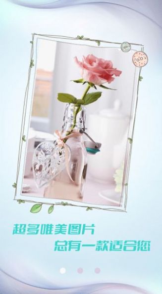 小猪壁纸大全APP手机版下载  v1.0.1图2