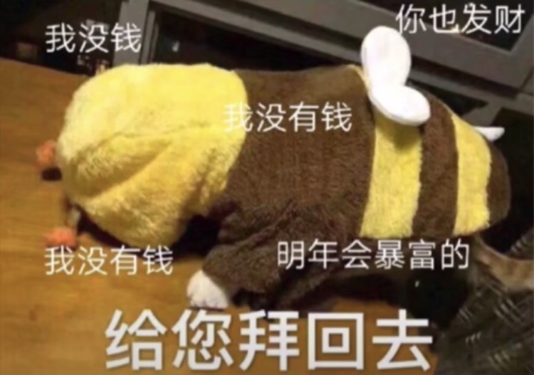 给您拜年了给你拜回去表情包动图图4