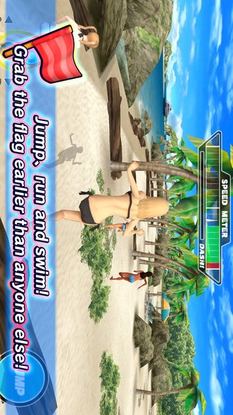 天堂沙滩：旗与比基尼图4