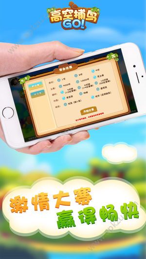 高空捕鸟游戏图3