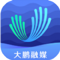 深爱大鹏app