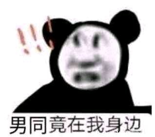 大鸟转转转表情包图2