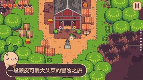 大头菜小子逃税了图1