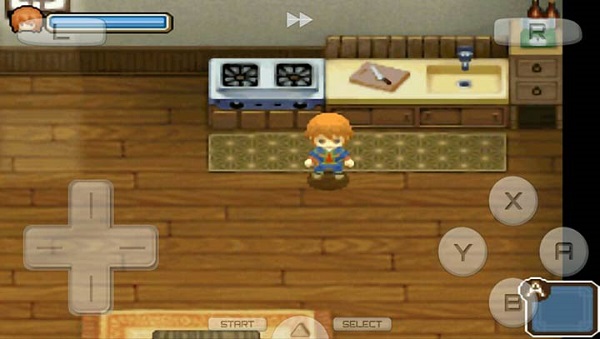 牧场物语双子村手机版图2