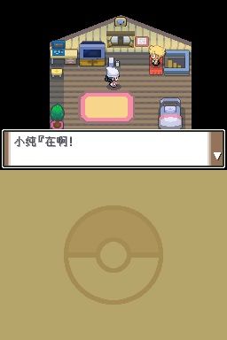 口袋妖怪白金金手指游戏图1