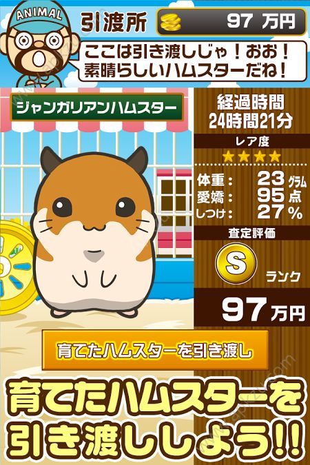 深夜的仓鼠Bar游戏瓜子汉化安卓版  v1.0.1.7图2