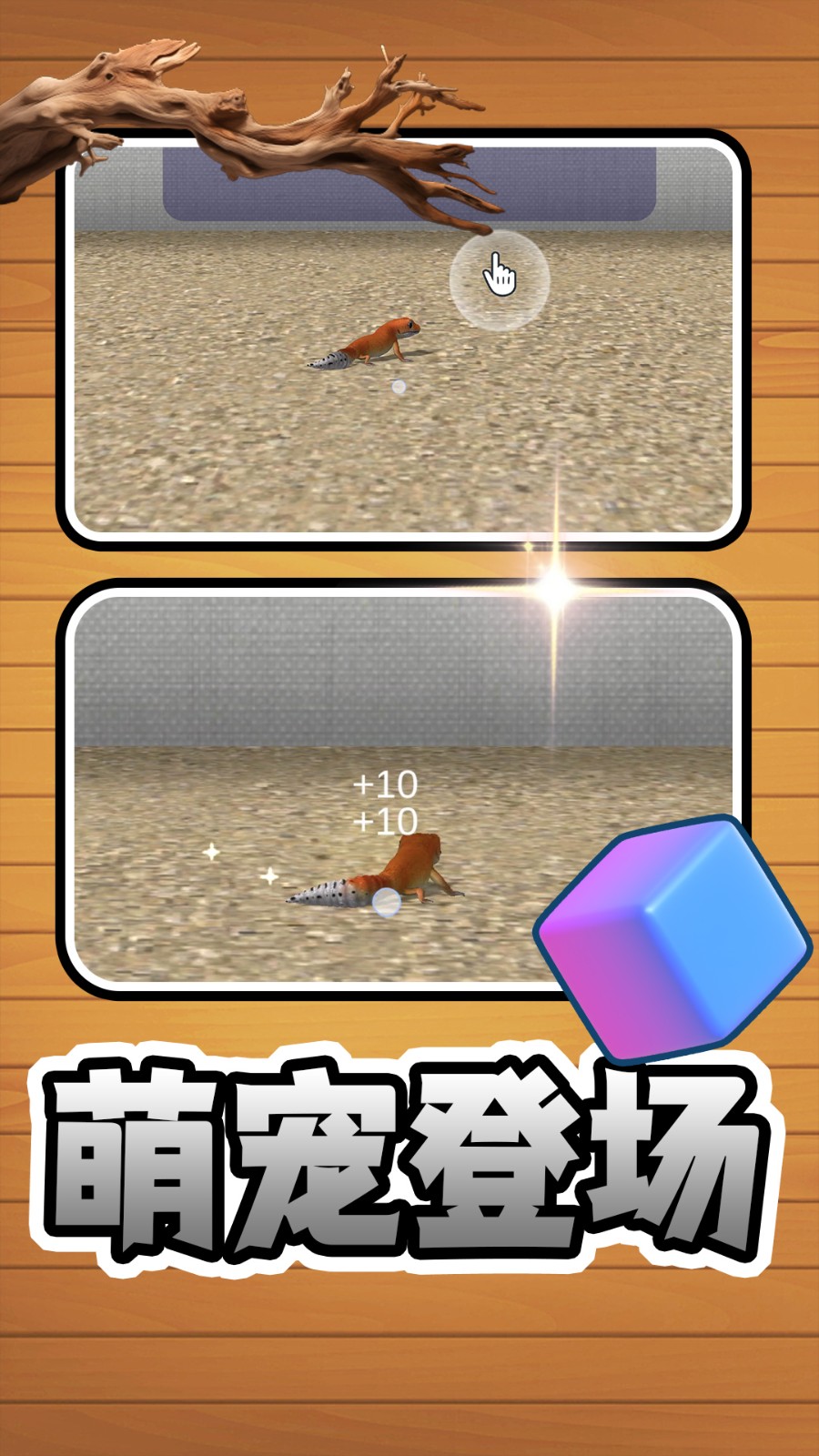 萌宠成长日记图3