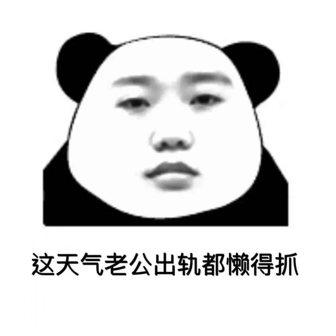 这天气老公出轨都懒得抓表情包图2