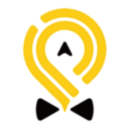 蜂派车主中文版