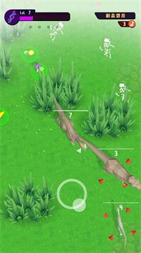 动物进化挑战图1