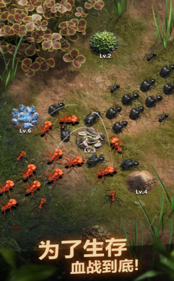 planet ant安卓中文版游戏 v0.0.1.1图2