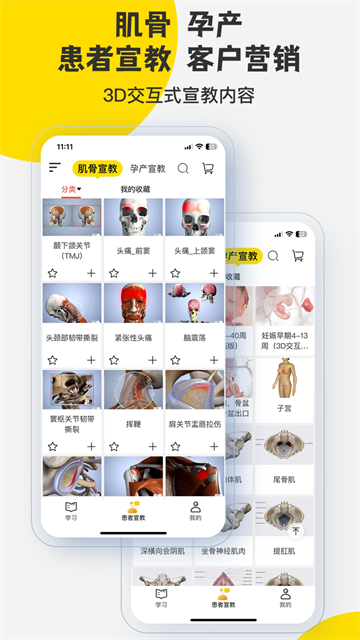 3DBody解剖学图5