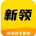 新领招聘app