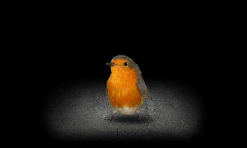 有丝分裂游戏图2