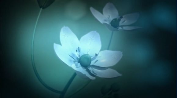 白色情人节2谎言之花中文版图3