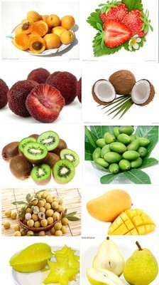 猜水果大挑战图5