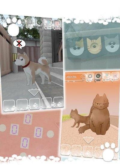 迷路的小猫逃离小胡同图2