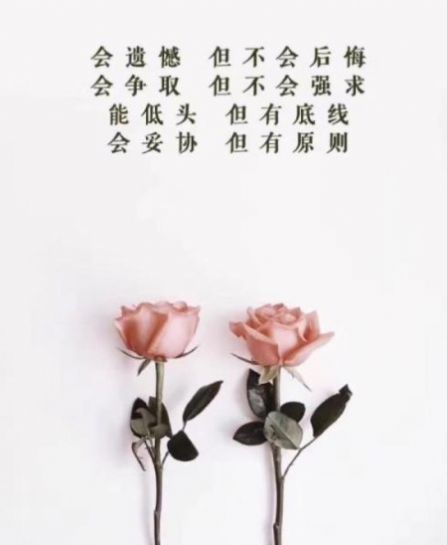 会遗憾但不会后悔图片图3