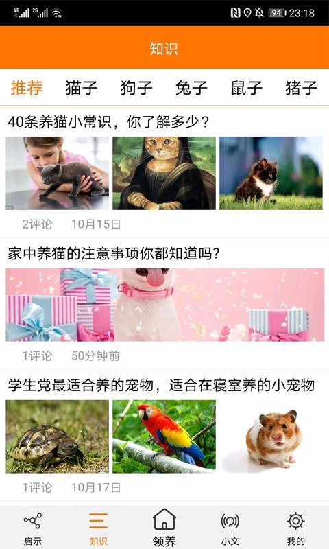 宠物公益图2
