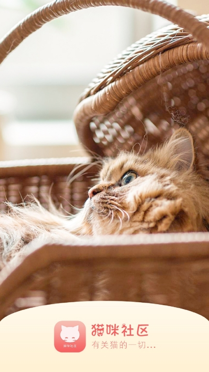 猫味社区人最新版图2
