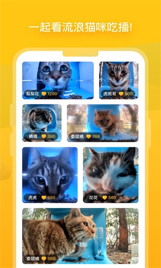 街猫免费版下载  v1.20.5图1