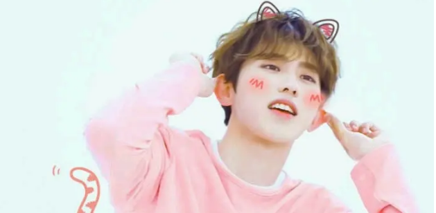 便携式坤坤侮辱器3.0合集