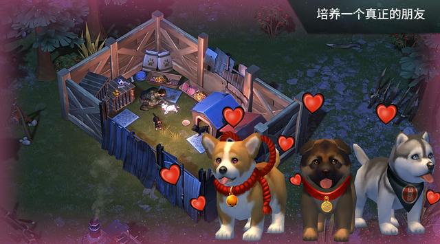 世界末日生存ee版金币版  v1.19图4