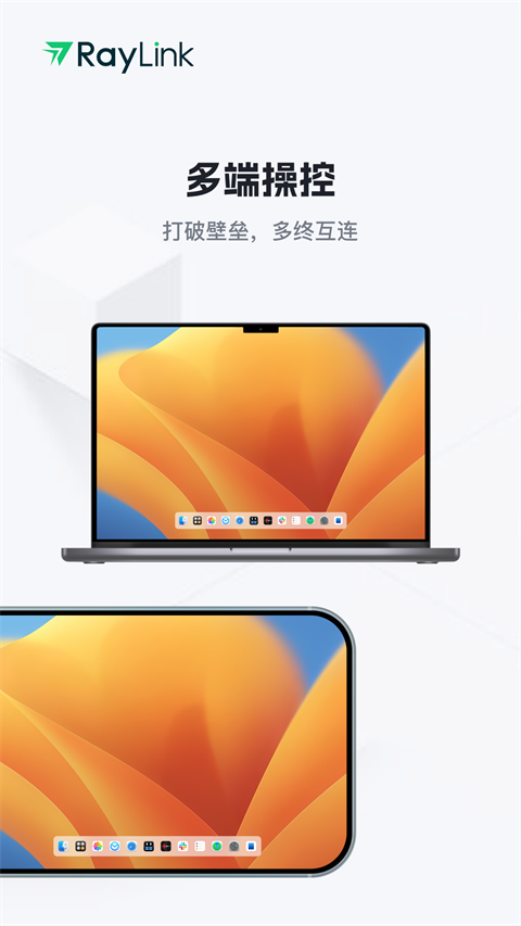 RayLink手机版图3