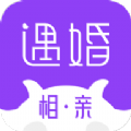 遇婚相亲app